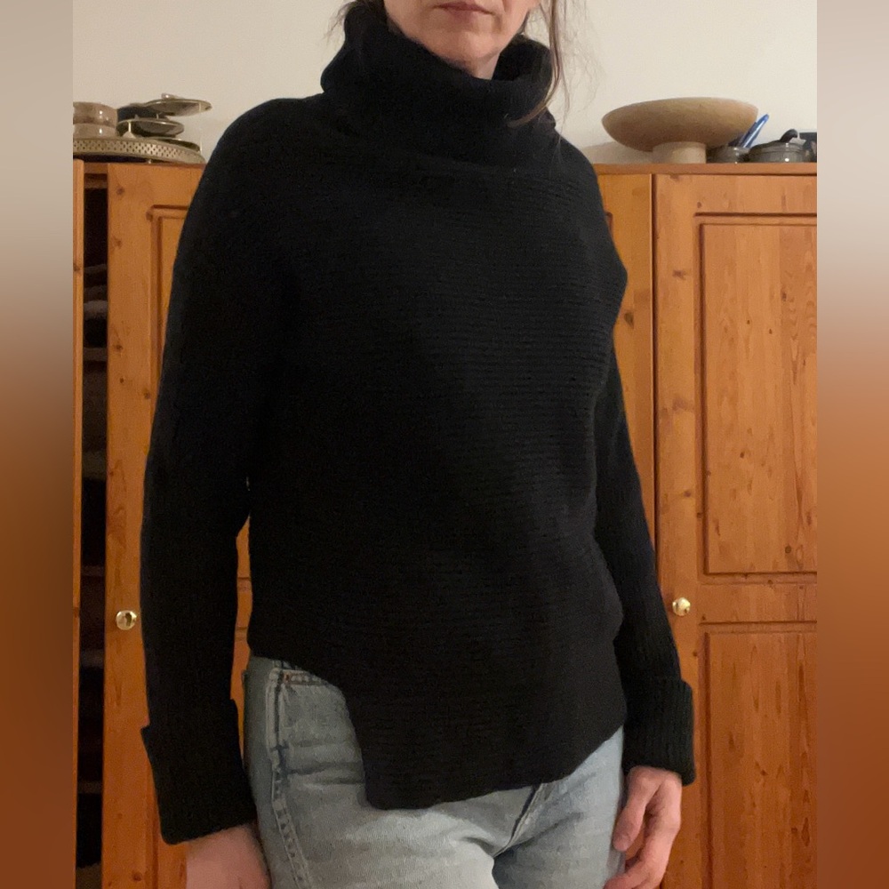 Wool/Cashmere blend Babaton chunky turtleneck from Aritzia